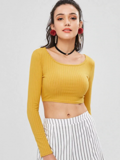 Plain Cropped Top - Golden Brown