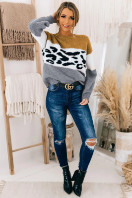 Дамски пуловер с леопардов принт, Мултиколор