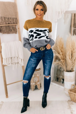Дамски пуловер с леопардов принт, Мултиколор