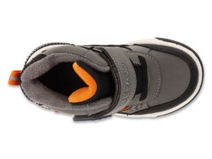 BEFADO PAPI 242P088
