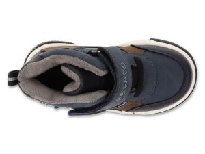 BEFADO PAPI 242P088