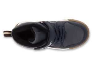BEFADO PAPI 242P088